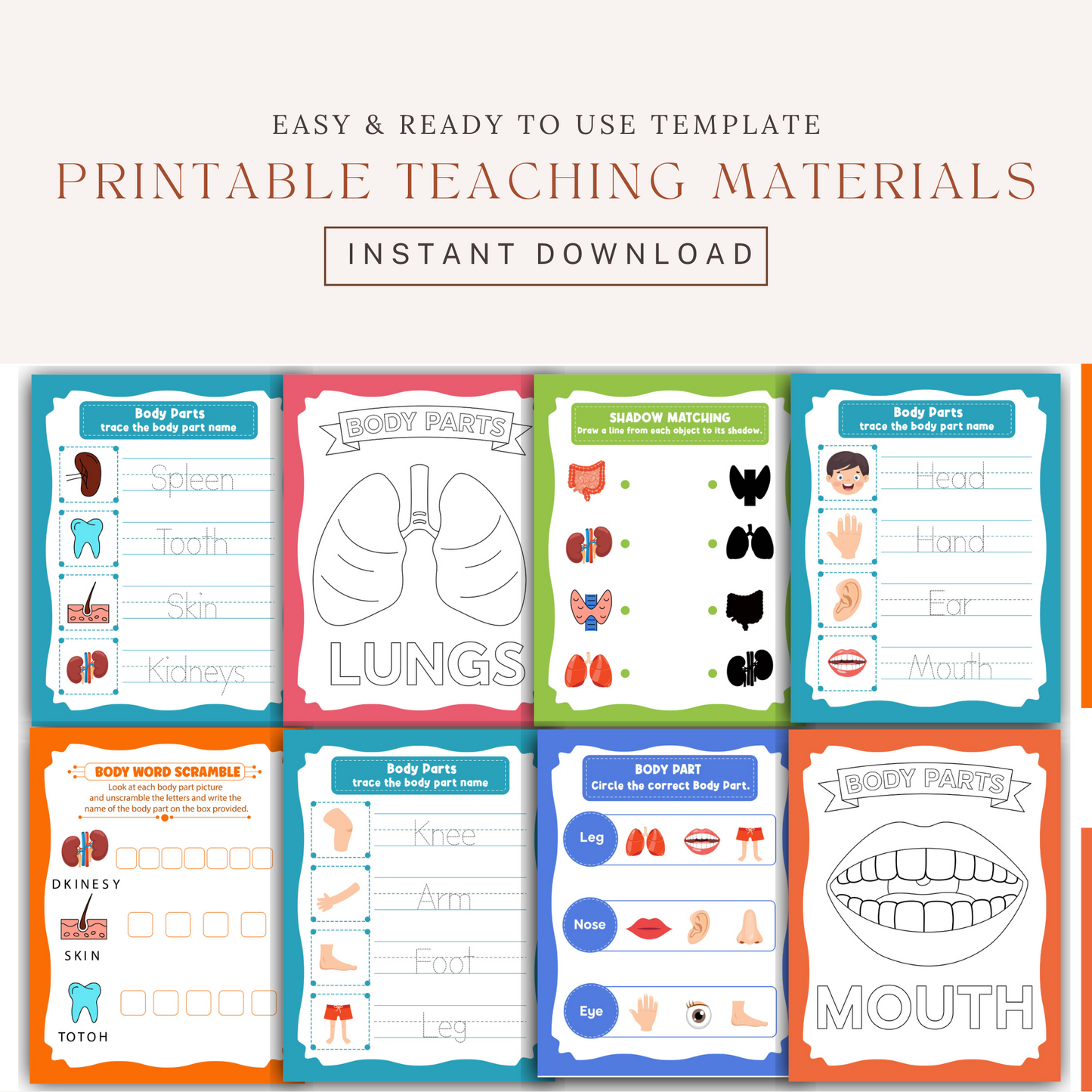 Human Anatomy All Activity and Coloring